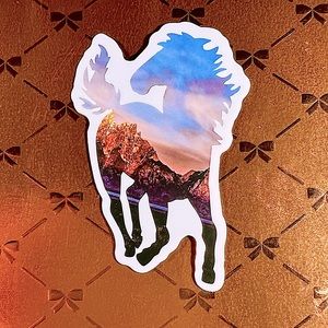 Scenic Equestrian Horse Girl Horse Boy Cowboy CowGirl Single Decor Wat…